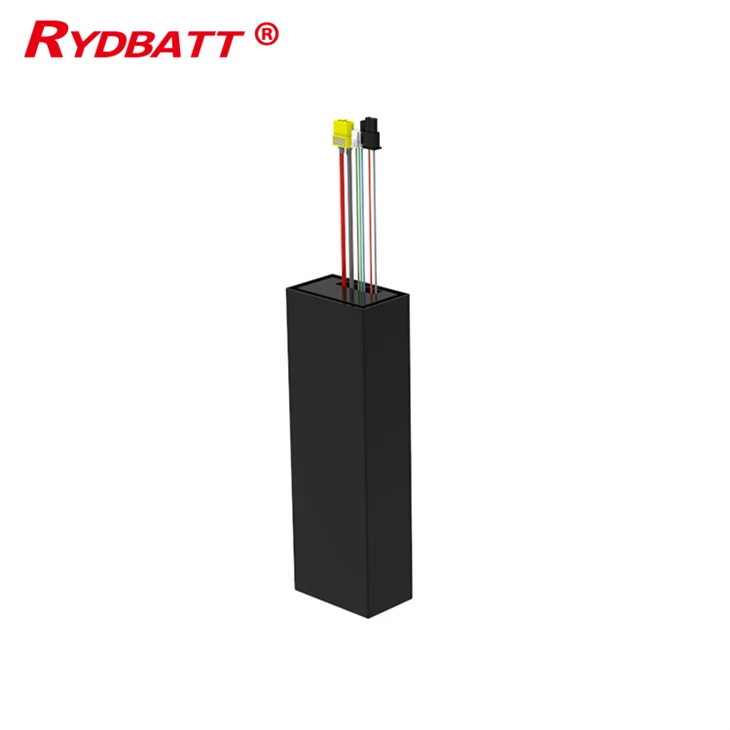 Innovative Lithium-Ion Battery Solutions By Ryder Electronics Powering The Future With Precision And Reliability factory